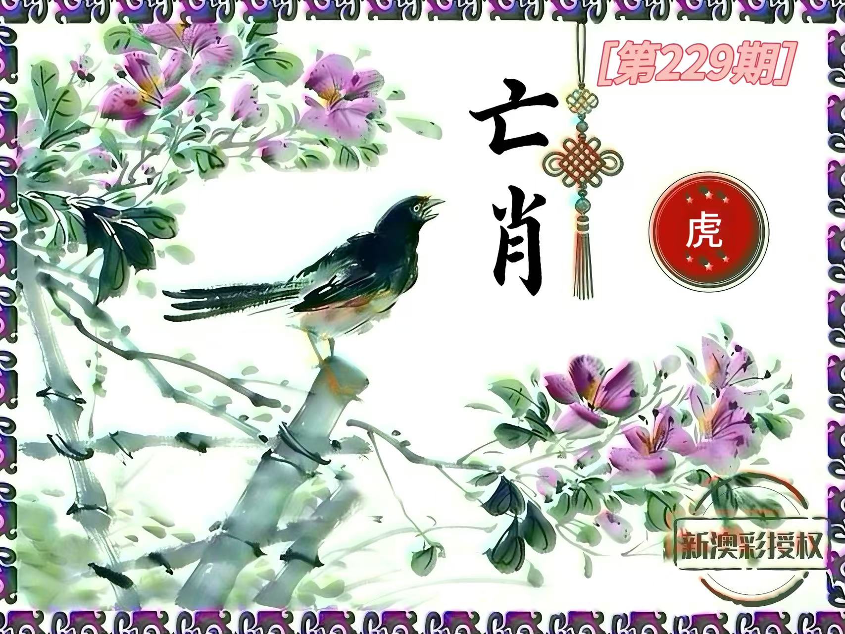 第229期亡肖
