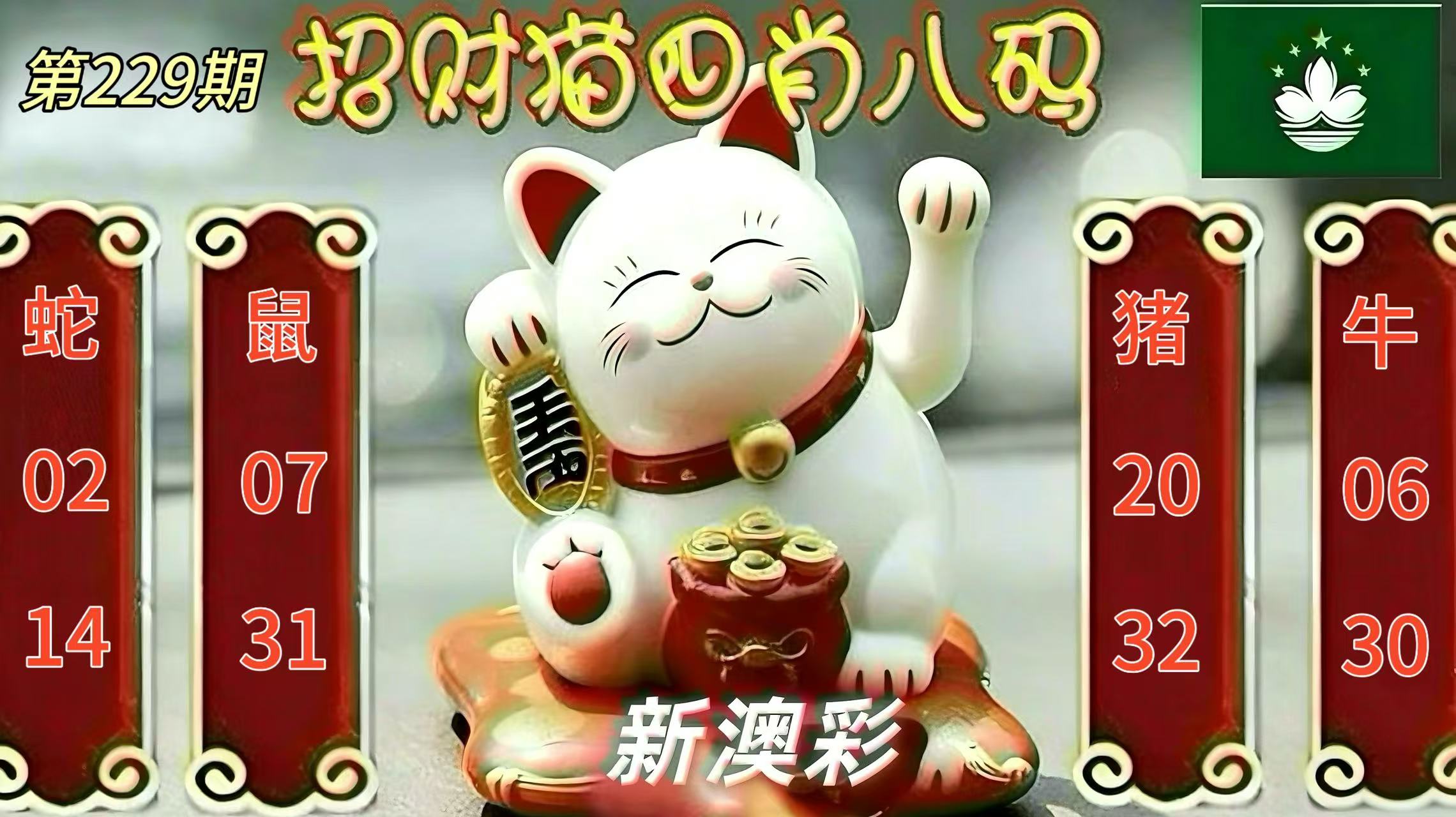 第229期招财猫