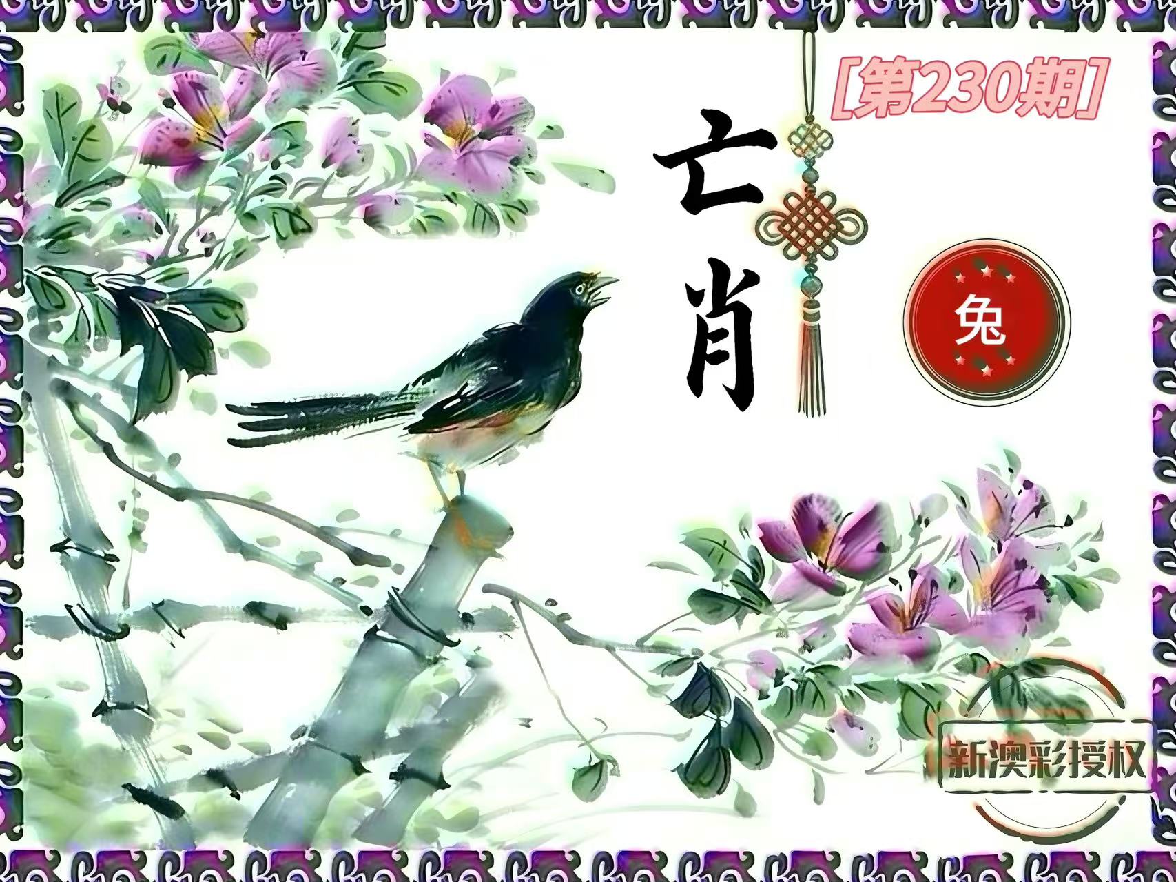 第230期亡肖
